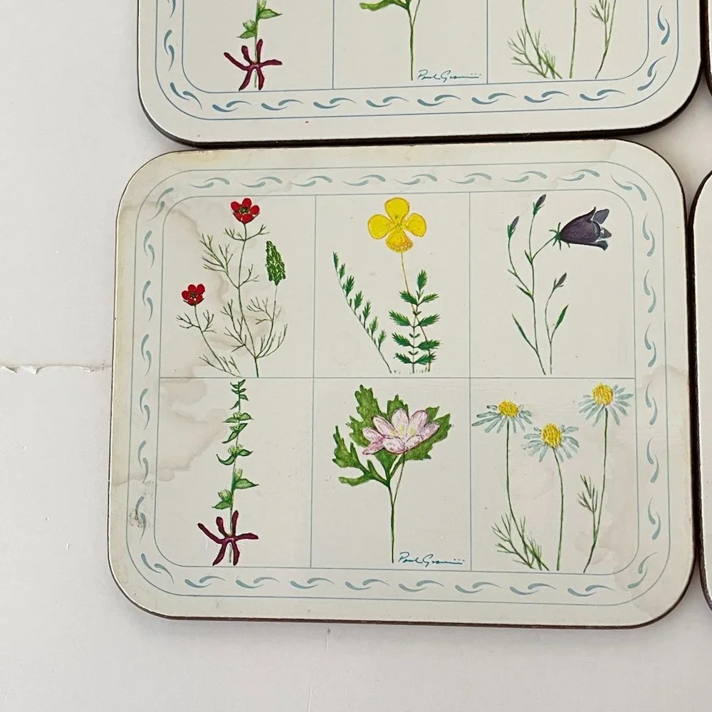 Vintage Jason Drink Coasters Flower Box Cork Backed Rectangle Set 6‎ New Zealand